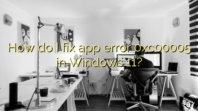 How do I fix app error 0xc00005 in Windows 11?