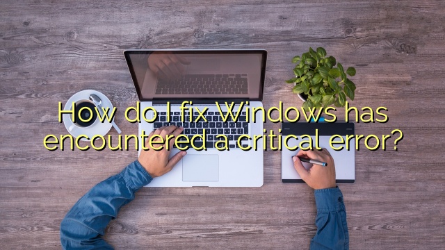 How do I fix Windows has encountered a critical error?