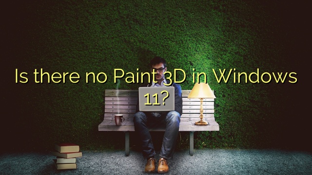 Is there no Paint 3D in Windows 11?