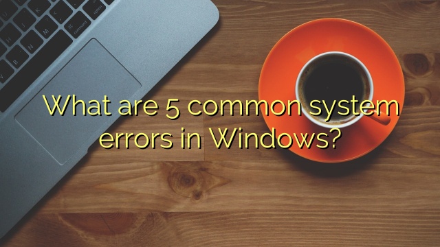 What are 5 common system errors in Windows?