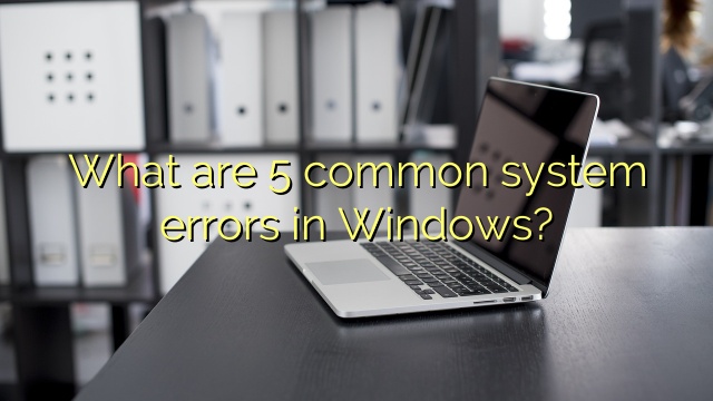 What are 5 common system errors in Windows?