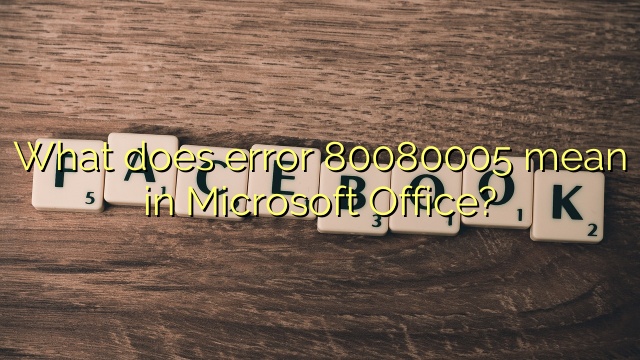 What does error 80080005 mean in Microsoft Office?