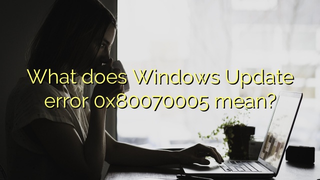 What does Windows Update error 0x80070005 mean?