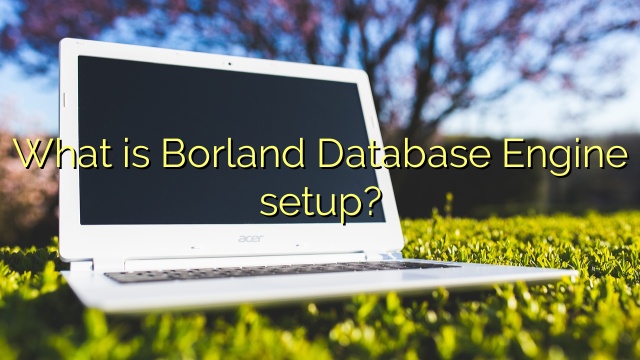 What is Borland Database Engine setup?